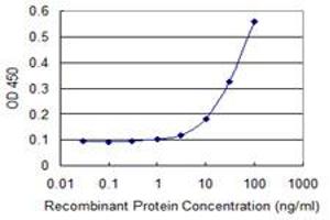 Detection limit for recombinant GST tagged PRKAB1 is 3 ng/ml as a capture antibody. (PRKAB1 antibody  (AA 1-270))