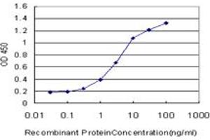 Detection limit for recombinant GST tagged PCYT1A is approximately 0. (PCYT1A antibody  (AA 2-90))