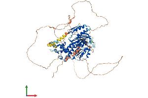 AlphaFold protein structure predicition of Mouse Recombinant Dennd1b Protein, UniprotID Q3U1T9