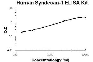 Human SDC1/Syndecan-1 PicoKine ELISA Kit standard curve (Syndecan 1 ELISA Kit)