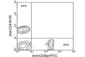 Flow Cytometry (FACS) image for anti-CD8 (CD8) antibody (FITC) (ABIN356190) (CD8 antibody  (FITC))
