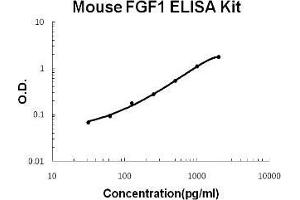 Mouse FGF1 PicoKine ELISA Kit standard curve