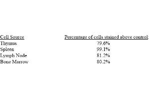 Rat anti CD44 (HCAM) (Ly-24, Pgp-1) KM81 (CD44 antibody)