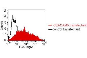 FACS analysis of BOSC23 cells using 4/3/17. (CEACAM1/5 antibody)