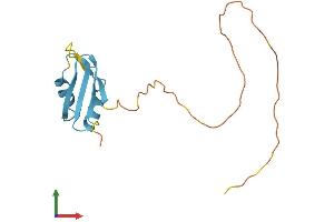 AlphaFold protein structure predicition of Mouse Recombinant Rbm3 Protein, UniprotID O89086
