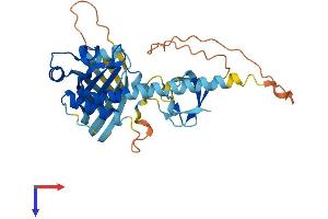 AlphaFold protein structure predicition of Human Recombinant SH3YL1 Protein, UniprotID Q96HL8 (SH3YL1 Protein (AA 1-342) (His tag))