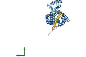 AlphaFold protein structure predicition of Human Recombinant CERS3 Protein, UniprotID Q8IU89 (LASS3 Protein (AA 1-383) (His tag))