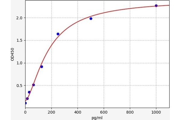 ENHO ELISA Kit