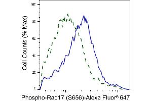Validation of Rad17 knockdown using flow cytometry. (Recombinant RAD17 antibody  (pSer656))