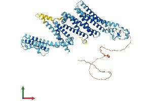 AlphaFold protein structure predicition of Human Recombinant RNF145 Protein, UniprotID Q96MT1 (RNF145 Protein (AA 1-663) (His tag))