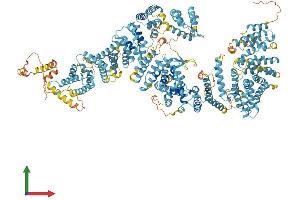 AlphaFold protein structure predicition of Human Recombinant FANCA Protein, UniprotID O15360 (FANCA Protein (AA 1-1455) (His tag))