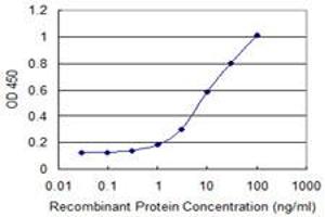 Detection limit for recombinant GST tagged C4orf43 is 0. (C4orf43 antibody  (AA 1-203))