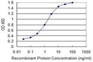 Detection limit for recombinant GST tagged GLS is 0. (Glutaminase antibody  (AA 580-669))