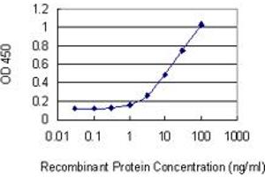Detection limit for recombinant GST tagged UPP1 is 0. (UPP1 antibody  (AA 1-92))