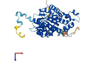 NOXRED1 Protein (AA 1-366) (His tag)