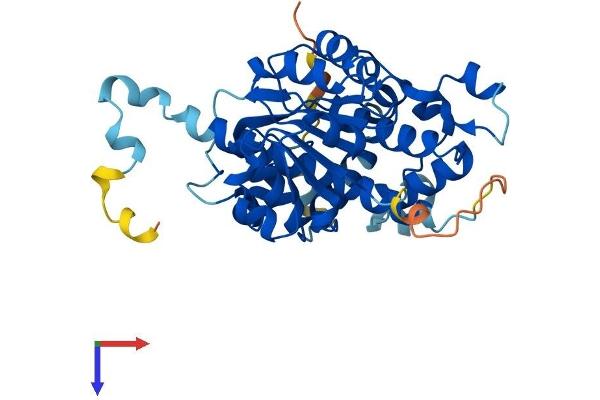 NOXRED1 Protein (AA 1-366) (His tag)