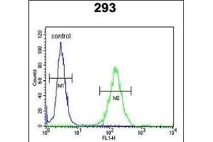 DZIP1 Antibody (Center) (ABIN652872 and ABIN2842565) flow cytometric analysis of 293 cells (right histogram) compared to a negative control cell (left histogram). (DZIP1 antibody  (AA 568-596))