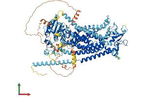AlphaFold protein structure predicition of Human Recombinant ANO3 Protein, UniprotID Q9BYT9 (ANO3 Protein (AA 1-981) (His tag))