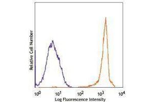 Flow Cytometry (FACS) image for anti-CD90.2 / Thy-1.2 antibody (FITC) (ABIN2661859) (CD90.2 / Thy-1.2 antibody  (FITC))