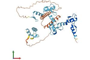 AlphaFold protein structure predicition of Human Recombinant ZNF514 Protein, UniprotID Q96K75