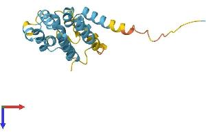 FADD Protein (AA 1-205) (His tag)