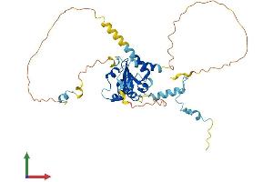 AlphaFold protein structure predicition of Human Recombinant CEP41 Protein, UniprotID Q9BYV8 (CEP41 Protein (AA 1-373) (His tag))