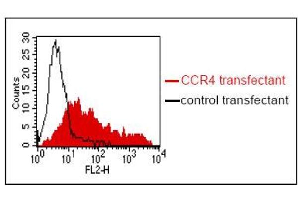 CCR4 anticorps