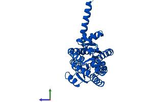 Protein Structure (PS) image for Retinol Dehydrogenase 16 (All-Trans) (RDH16) (AA 1-317) protein (His tag) (ABIN7551197)