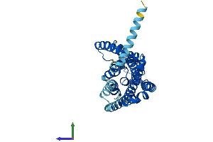 AlphaFold protein structure predicition of Human Recombinant OR4C15 Protein, UniprotID Q8NGM1 (OR4C15 Protein (AA 1-316) (His tag))