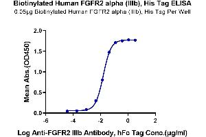 Immobilized Biotinylated Human FGFR2 alpha (IIIb), His Tag at 0.