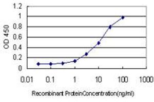 ALDH3B2 antibody  (AA 1-385)