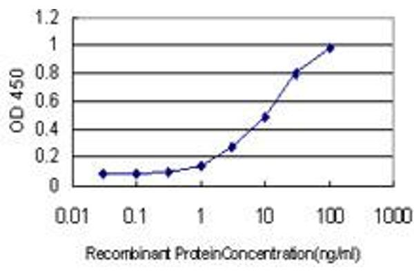 ALDH3B2 antibody  (AA 1-385)