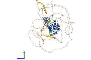 AlphaFold protein structure predicition of Mouse Recombinant Map3k13 Protein, UniprotID Q1HKZ5