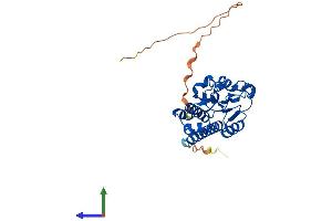 Protein Structure (PS) image for Mitochondrial Ribosomal Protein S2 (MRPS2) (AA 1-291) protein (His tag) (ABIN7560260)