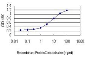 Detection limit for recombinant GST tagged SSBP1 is approximately 0. (SSBP1 antibody  (AA 1-148))