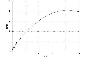 HRas proto-oncogene, GTPase (HRAS) ELISA Kit