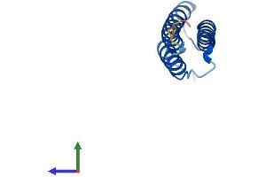 AlphaFold protein structure predicition of Mouse Recombinant Ahsp Protein, UniprotID Q9CY02 (aHSP Protein (AA 1-102) (His tag))