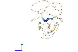 AlphaFold protein structure predicition of Human Recombinant SYBU Protein, UniprotID Q9NX95