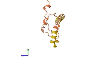 AlphaFold protein structure predicition of Human Recombinant LINC00597 Protein, UniprotID Q9H2U6
