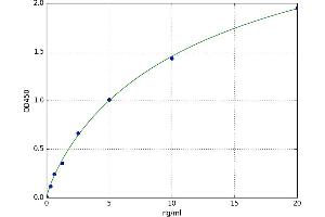Ubiquitin-Conjugating Enzyme E2A (ube2a) ELISA Kit