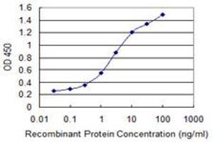 Detection limit for recombinant GST tagged MSR1 is 0. (Macrophage Scavenger Receptor 1 antibody  (AA 121-220))