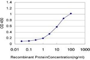 Detection limit for recombinant GST tagged UBE2D1 is approximately 0. (UBE2D1 antibody  (AA 1-94))