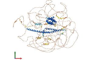 AlphaFold protein structure predicition of Mouse Recombinant Rprd2 Protein, UniprotID Q6NXI6 (RPRD2 Protein (AA 1-1469) (His tag))