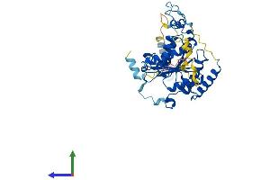 Protein Structure (PS) image for Ubiquitin-Like Modifier Activating Enzyme 5 (UBA5) (AA 1-404) protein (His tag) (ABIN7544948)