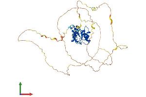 AlphaFold protein structure predicition of Mouse Recombinant Smap2 Protein, UniprotID Q7TN29 (SMAP2 Protein (AA 1-428) (His tag))