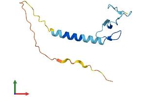 AlphaFold protein structure predicition of Human Recombinant LIMS3 Protein, UniprotID P0CW19