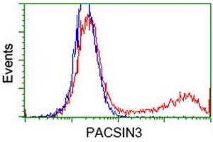 Image no. 3 for anti-Protein Kinase C and Casein Kinase Substrate in Neurons 3 (PACSIN3) antibody (ABIN1500013) (PACSIN3 antibody)
