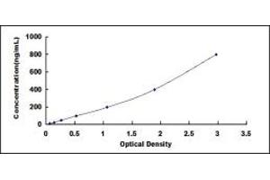 Typical standard curve (CSH1 ELISA Kit)