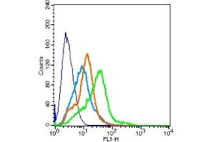 RSC96 probed with TPIA2/PTPRN Polyclonal Antibody, Unconjugated ( 	 ) at 3ug for 30 minutes followed by incubation with a conjugated secondary -FITC) (green) for 30 minutes compared to control cells (blue), secondary only (light blue) and isotype control (orange). (PTPRN antibody  (AA 501-600))