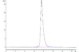 The purity of Mouse NKG2C is greater than 95 % as determined by SEC-HPLC.